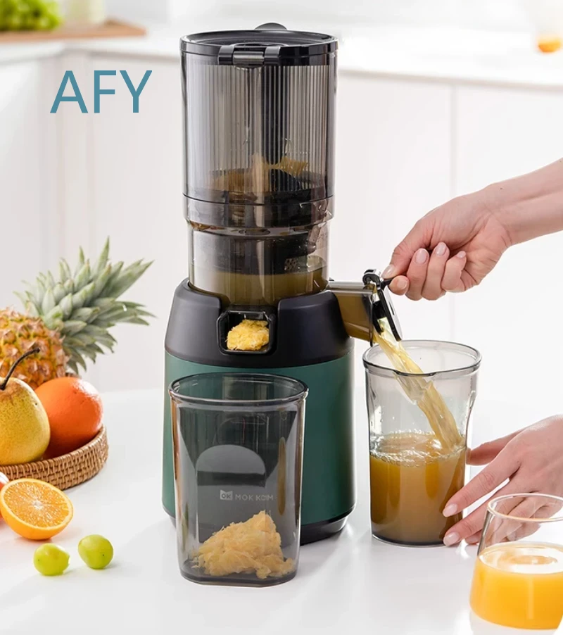 Estrattore di Succo a Freddo 2 - Electric Slow Juicer Cold Press recensione e prezzo