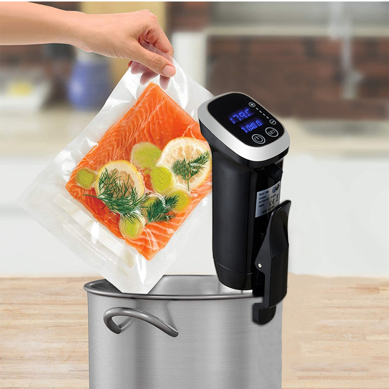 Fornello di precisione Sous Vi - Digital Sous Vide Precision Cooker recensione e prezzo
