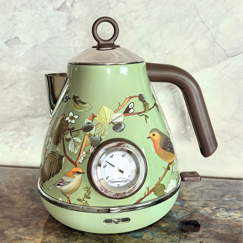 Bollitore Elettrico Retrò Rosa - Electric Kettle Temperature Control recensione e prezzo