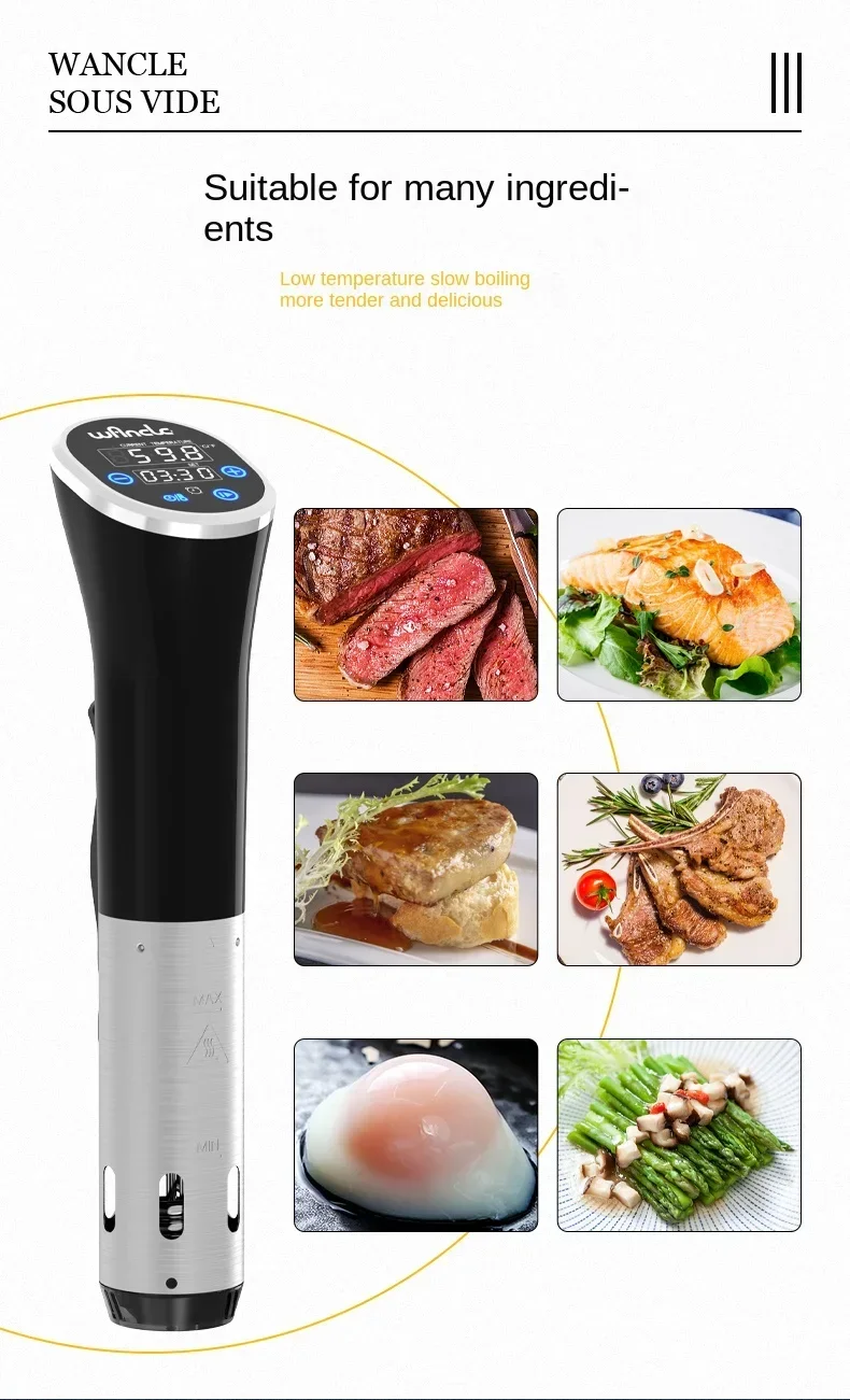 Fornello Sous Vide da 220 V di - Digital Sous Vide Precision Cooker recensione e prezzo